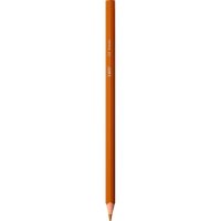 BIC INTENSITY Buntstifte farbsortiert, 12 St.
