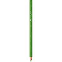 BIC INTENSITY Buntstifte farbsortiert, 12 St.