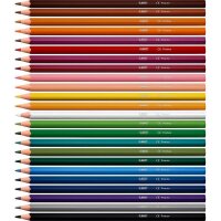 BIC INTENSITY Buntstifte farbsortiert, 24 St.