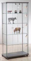 Kerkmann Beleuchtungs-Set für Vitrinen silber 5x 20 W