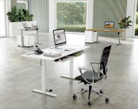 Kerkmann Move 1 elektrisch höhenverstellbarer Schreibtisch lichtgrau rechteckig, T-Fuß-Gestell weiß 120,0 x 80,0 cm