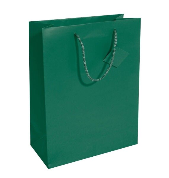 SIGEL Geschenktüten grün 26,0 x 33,0 cm, 5 St.