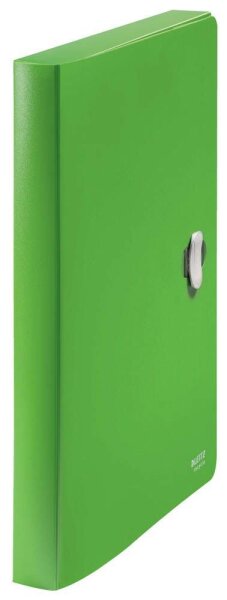 LEITZ Heftbox Recycle 4623 4,0 cm grün, 1 St.