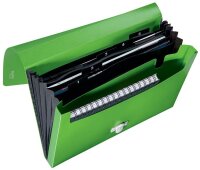 LEITZ Fächermappe recycle 4624 5 Fächer grün, 1 St.