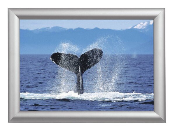 Showdown® Displays  Klapprahmen silber 45,1 x 62,5 cm, 1 St.