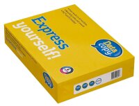 Data copy Kopierpapier Everyday Printing DIN A4 100 g/qm...