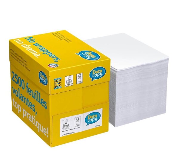 Data copy Kopierpapier Everyday Printing DIN A4 80 g/qm 2.500 Blatt Maxi-Box