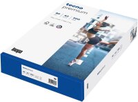 Data copy Kopierpapier Everyday Printing DIN A3 80 g/qm...