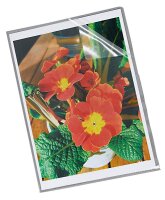 Esselte Sichthüllen 23823 DIN A4 transparent genarbt...