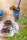Kinderbecher Jurassic World bunt, 1 St.