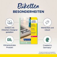 AVERY Zweckform Typenschildetiketten L6009-100 silber 45,7 x 21,2 mm, 100 Blatt