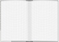 RNK-Verlag Notizbuch Punkte DIN A5 kariert, grau Hardcover 192 Seiten, 1 St.