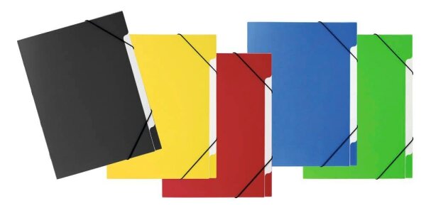 PAGNA Ordnungsmappe Basic 5 Fächer farbsortiert, 5 St.