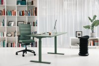 Topstar E-Table elektrisch höhenverstellbarer Schreibtisch mintgrün rechteckig, T-Fuß-Gestell grün 160,0 x 80,0 cm