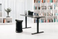 Topstar E-Table elektrisch höhenverstellbarer Schreibtisch schwarz rechteckig, T-Fuß-Gestell schwarz 160,0 x 80,0 cm