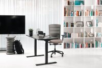 Topstar E-Table elektrisch höhenverstellbarer Schreibtisch schwarz rechteckig, T-Fuß-Gestell schwarz 160,0 x 80,0 cm