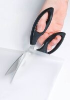 DAHLE Schere schwarz 21,0 cm