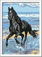 Ravensburger Malen-nach-Zahlen Pferd am Strand mehrfarbig