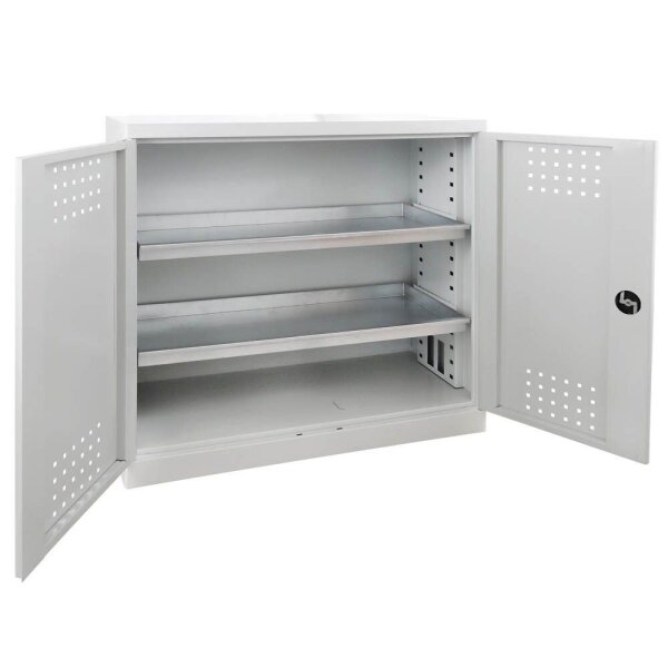ADB Umweltschrank 40703 lichtgrau 2 Fachböden 100,0 x 50,0 x 100,0 cm, aufgebaut, 1 St.