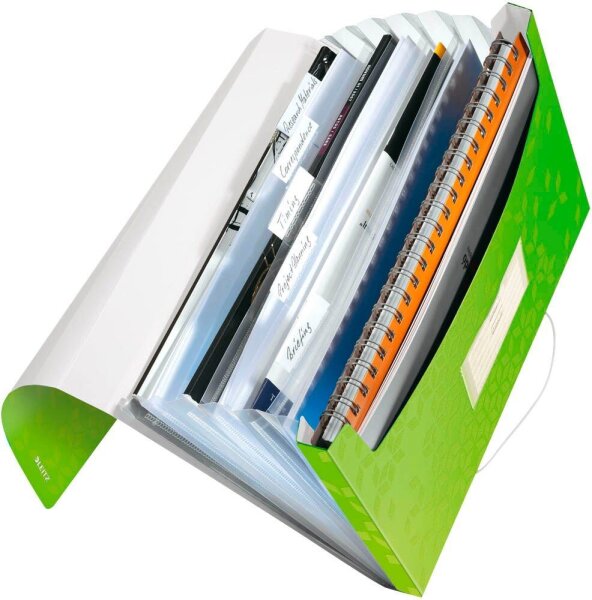 LEITZ Fächermappe WOW 4589 6 Fächer grün, 1 St.