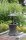 Garden Pleasure Gartentisch MUMBAI dunkelgrau rund 45,0 x 45,0 x 55,0 - 85,0 cm