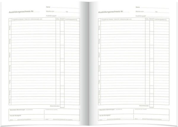 RNK-Verlag Ausbildungsnachweis, tägliche Eintragungen Formularbuch 5080, 1 St.