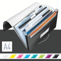 LEITZ Fächermappe WOW 4589 6 Fächer schwarz, 1 St.