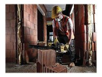 DeWALT DWE397 elektrischer Fuchsschwanz 1.700 W, ohne Akku