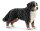 Schleich® Farm World 16397 Berner Sennenhündin Spielfigur