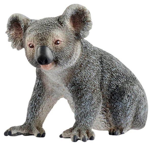 Schleich® Wild Life 14815 Koala Spielfigur