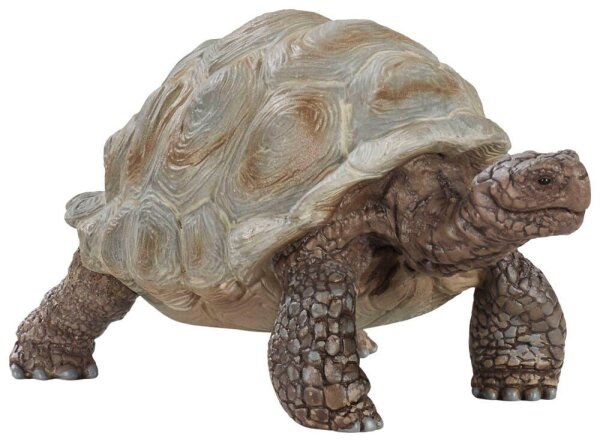 Schleich® Wild Life 14824 Riesenschildkröte Spielfigur