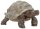 Schleich® Wild Life 14824 Riesenschildkröte Spielfigur