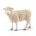 Schleich® Farm World 13882 Schaf Spielfigur