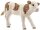 Schleich® Farm World 13802 Fleckvieh-Kalb Spielfigur