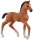Schleich® Horse Club 13947 Oldenburger Fohlen Spielfigur