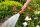 GARDENA Gartenbrause