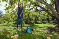 GARDENA combisystem Nuss-/Obstsammler-Aufsatz