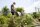 GARDENA Gartenschlauch-Set city gardening 7,5 m