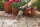 GARDENA Gartenbrause Comfort