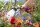 GARDENA Gartenbrause Comfort
