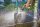 GARDENA Gartenspritze Comfort Multi-Reinigungsspritze
