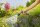 GARDENA Gartenspritze Comfort Multi-Reinigungsspritze