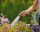 GARDENA Gartenbrause city gardening  ( 18405-20 )