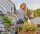GARDENA Gartenbrause city gardening  ( 18405-20 )