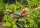 GARDENA Kreis- und Viereckregner AquaZoom compact