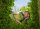 GARDENA NatureCut Heckenschere