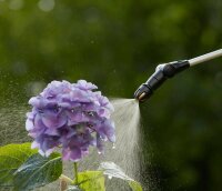 GARDENA Drucksprüher Plus schwarz, grau, 1 St.