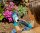 GARDENA Bodenfeuchtesensor smart App