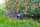 GARDENA Bodenfeuchtesensor smart App