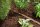 GARDENA Schlauchregner 15 m